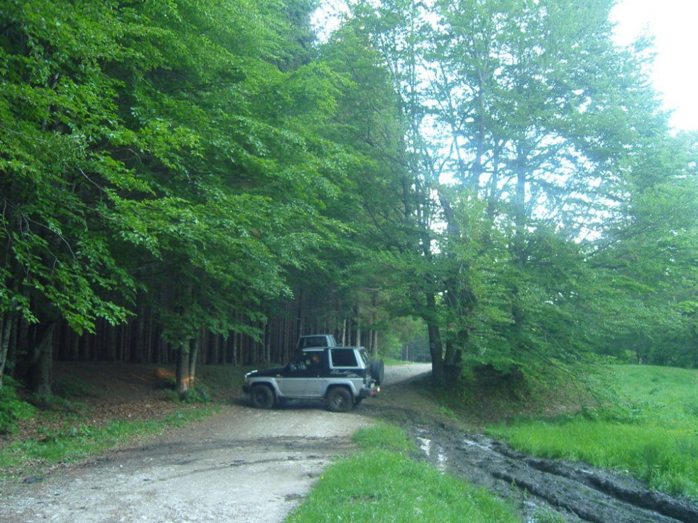 SNV81520.thumb.jpg.559b79ebd09cd792aea2690c33c00f6d.jpg