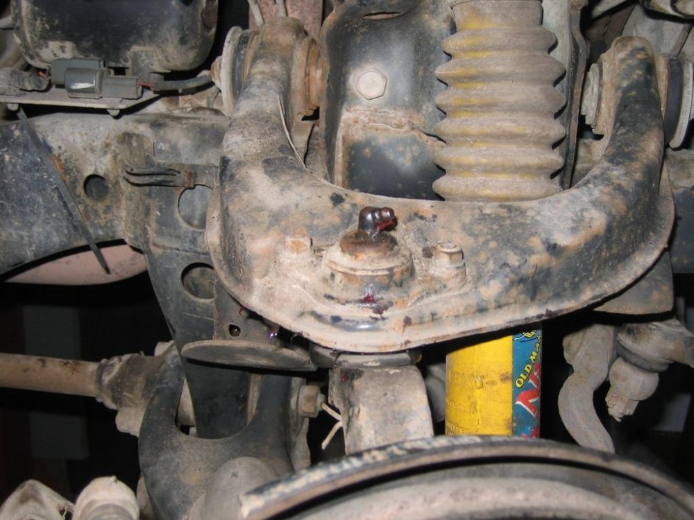 Upper_ball_joint.thumb.jpg.358205491ab79d42dbb8b95fff40e2d9.jpg
