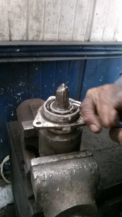 WP_20140131_001.thumb.jpg.c0b99e9c1faf3e0481c1e5b9e5d7dfb6.jpg