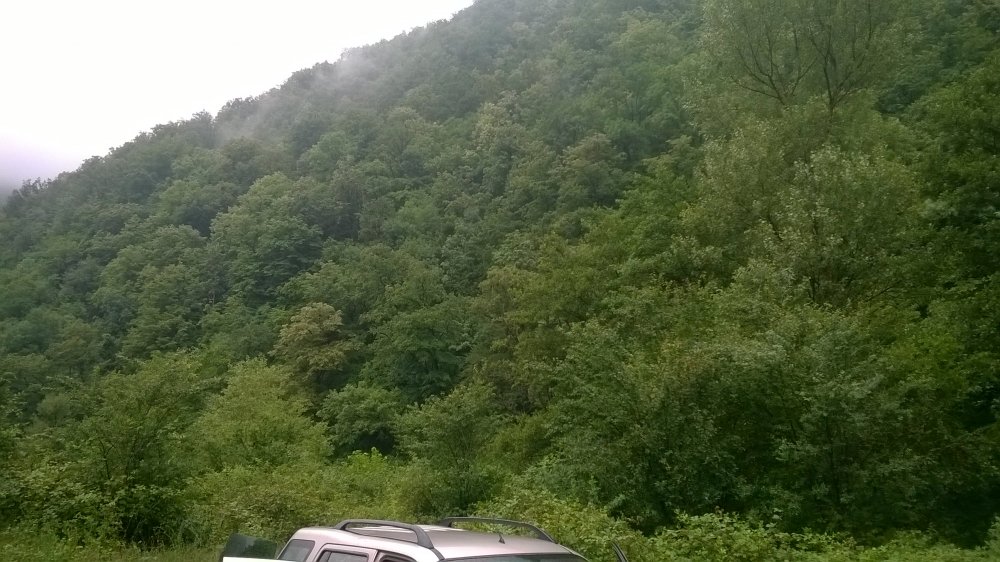 WP_20140711_008.thumb.jpg.0f1c9b99c27eadcf11d2e2cd2af40d74.jpg