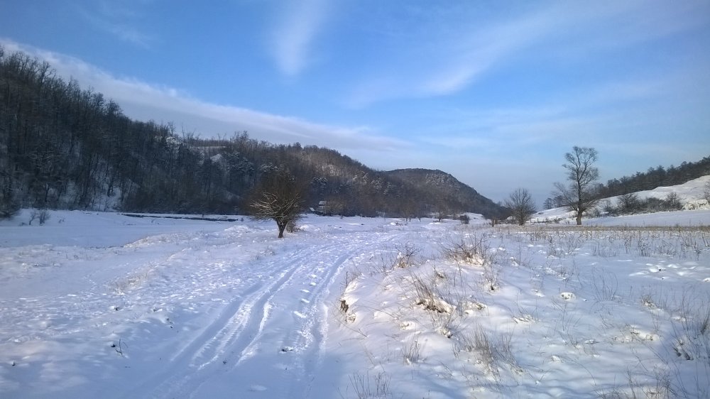 WP_20160118_005.thumb.jpg.4e183677ad47af22fbbc11fb9ad19b36.jpg