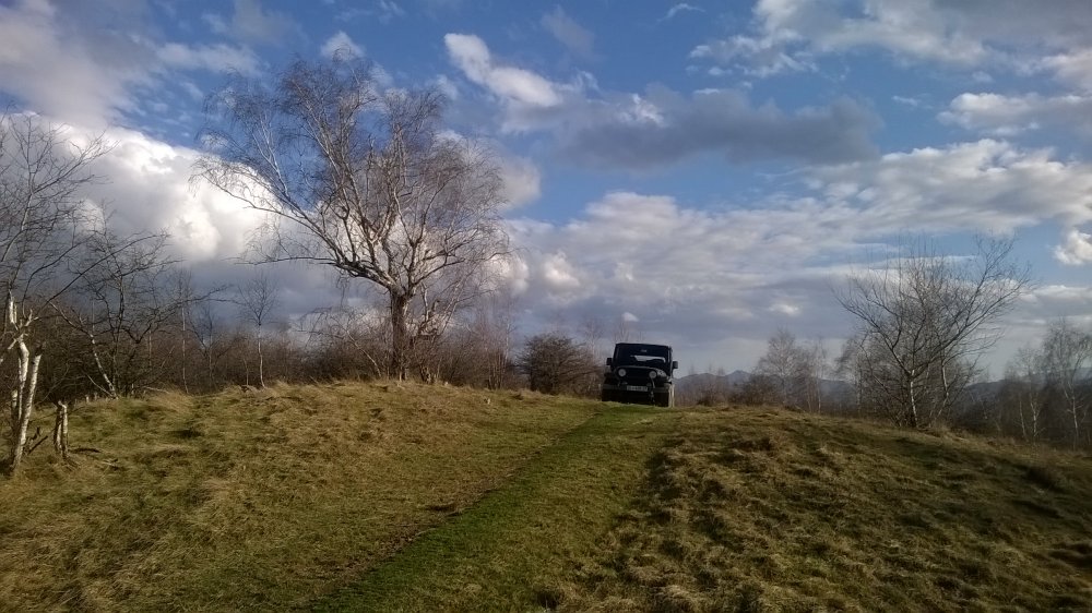 WP_20160301_035.thumb.jpg.99367f74d7aefb0229531dbb65e23d90.jpg