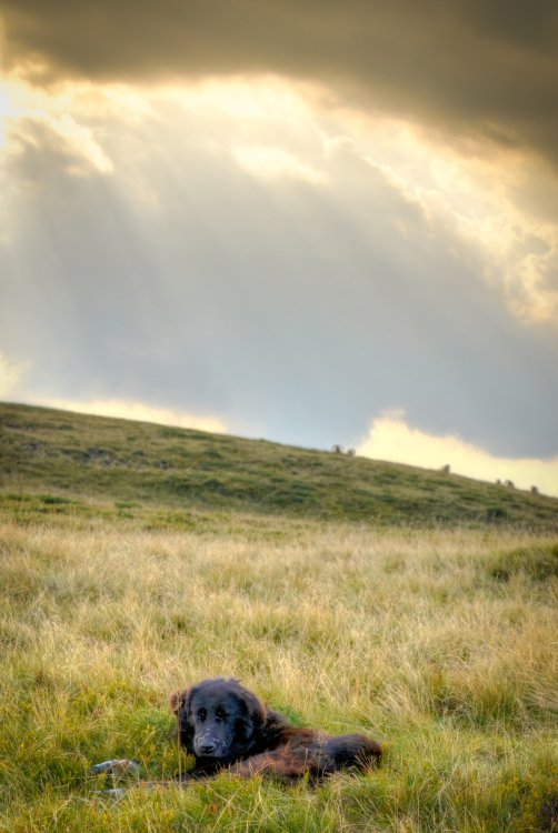 _DSC0305_6_HDR.thumb.jpg.9307097d34ebe08ab0238fe53584e182.jpg