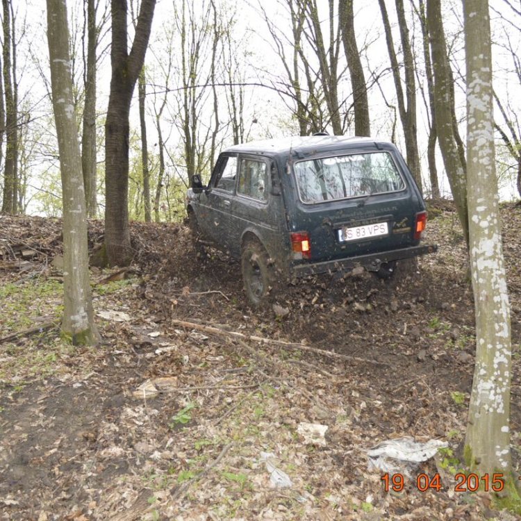 _DSC3370.thumb.JPG.28c670def37e4c97ec5fc34a03b2a1dd.JPG