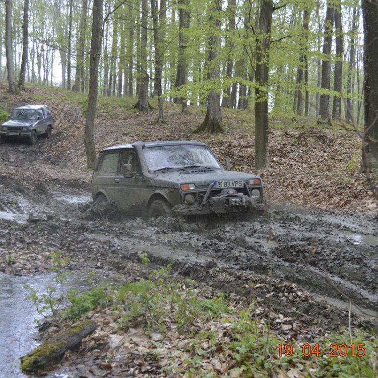 _DSC3463.thumb.JPG.4a324f0dab78b8d7b2fa63bd4d2e5a09.JPG
