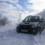 albertyna