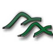 catalinsuga