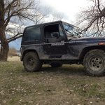 dummy