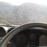 Vico