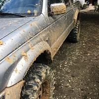 WildTracks