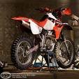 Baja Bull