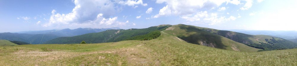 baiului.thumb.jpg.b279f46a127a3539271b6bb2fa1b0f47.jpg