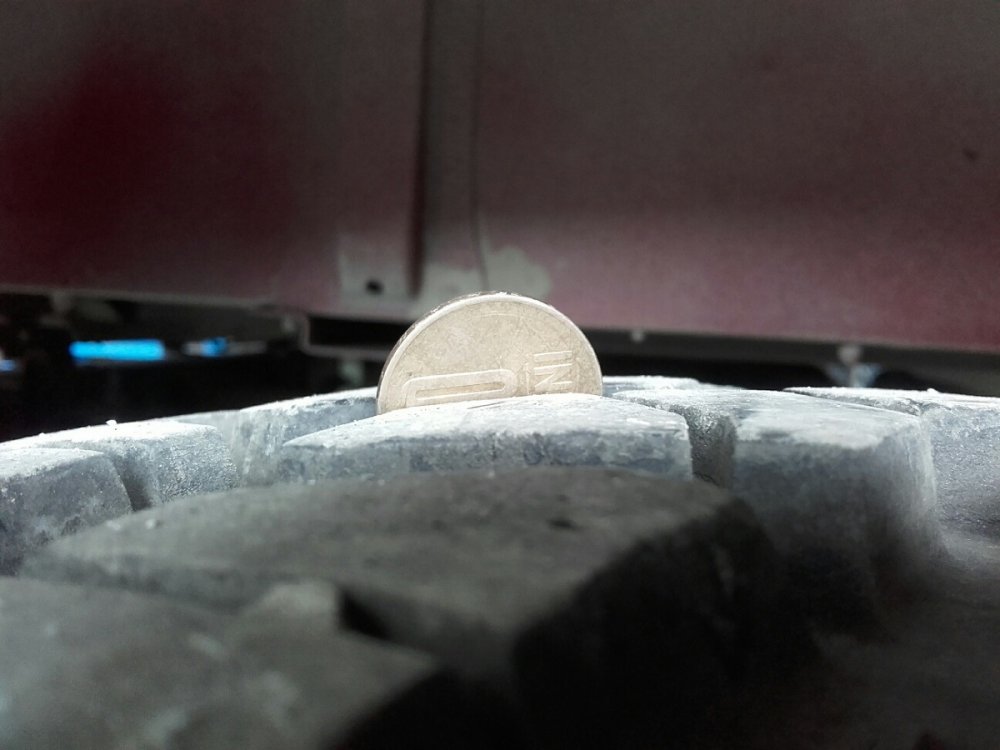 cf00bb27ab1a79d85bccc3aaec1f4624.thumb.jpg.726800cfd814c3f86e4c75d129f82ec7.jpg