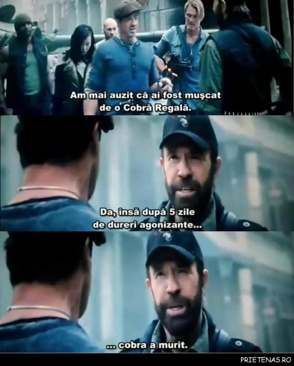 chuck-norris-a-fost-muscat-de-sarpe1.thumb.jpg.b0bc277722dac3c55bf1ddaed69ffe71.jpg