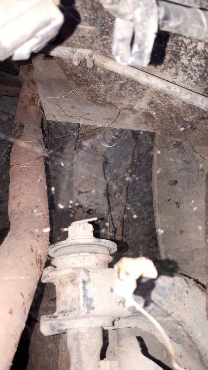 d4bce0f238c6da0daac9cb3e97b4db6f.thumb.jpg.6f56bac48dd7d65d28002c151a5a2c8f.jpg