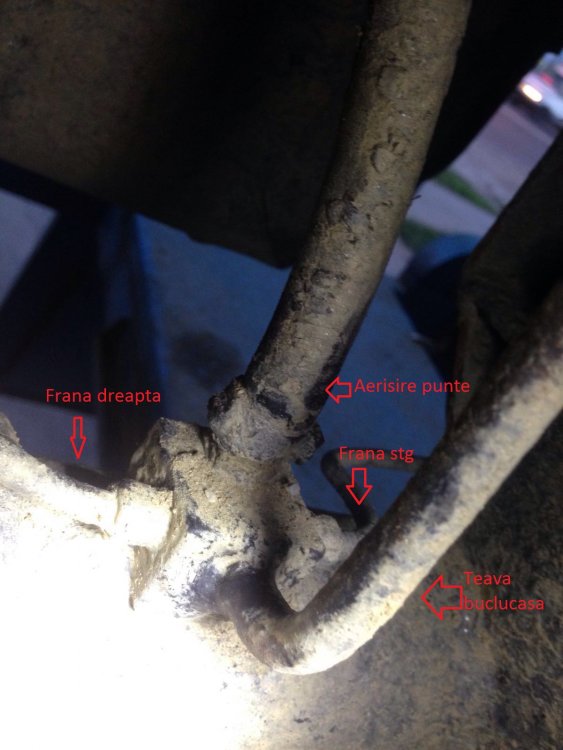 frana.thumb.jpg.1449fab479cd8cd59ef67d61d6862753.jpg