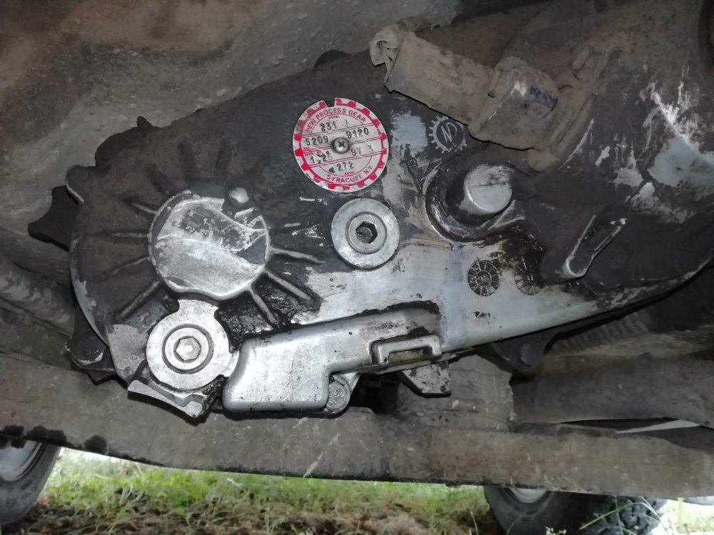 jeep1.thumb.jpg.d679606c4563512eb5530843350690d8.jpg