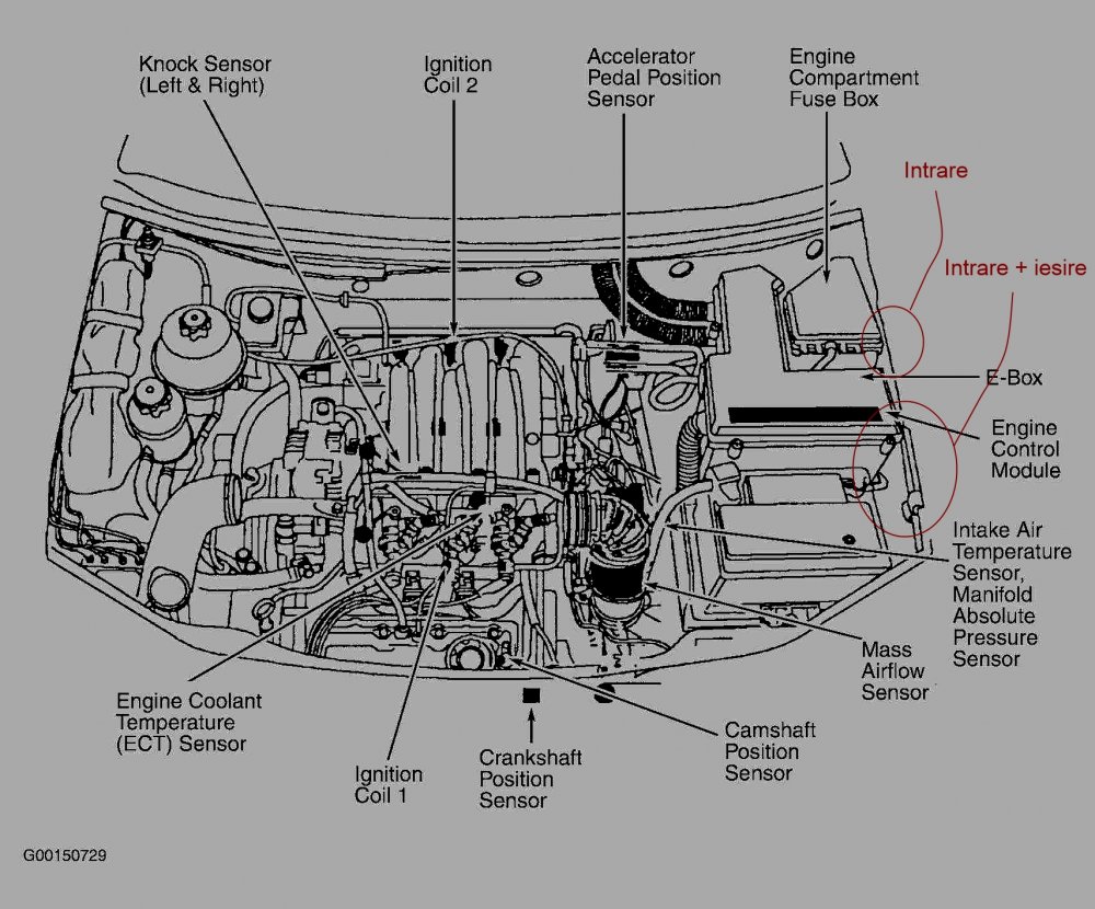 land-rover-freelander-engine-2.thumb.jpg.3fef18796cee72a3abb5b261d5db41b3.jpg