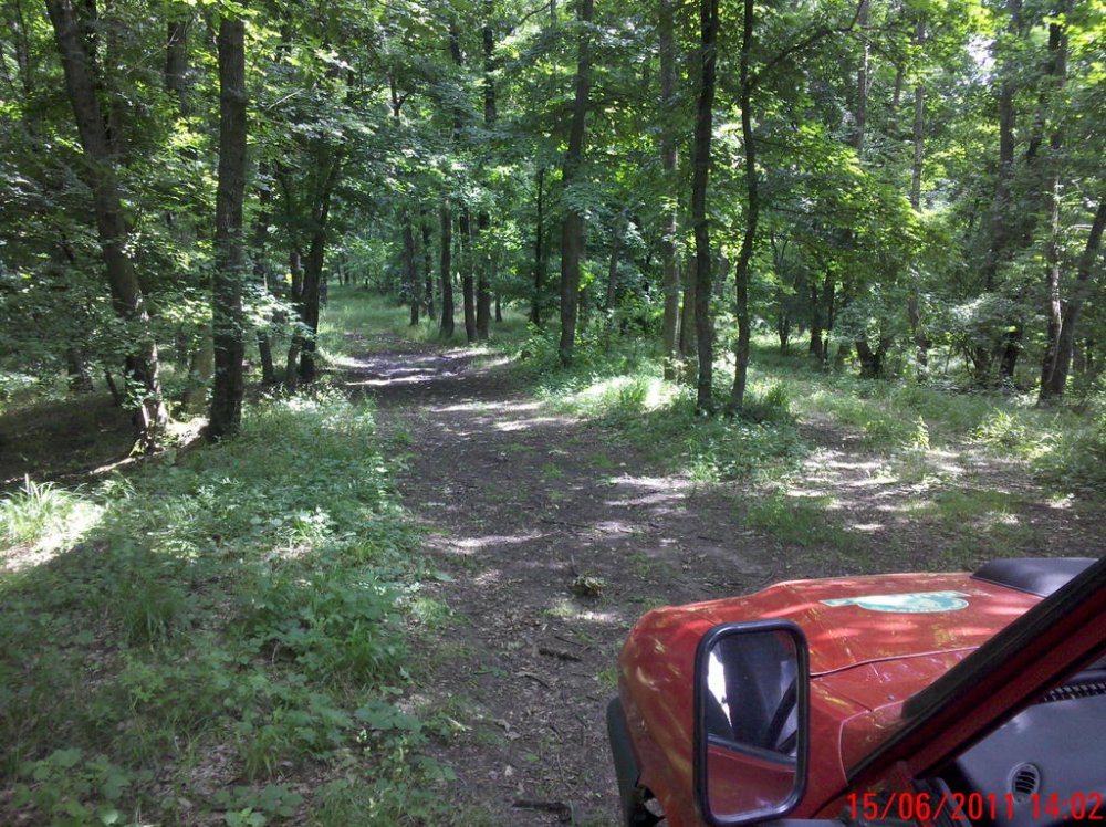 moto_0032.thumb.jpg.c0c1fe4fdcbd198ea185eec7e7963e2b.jpg
