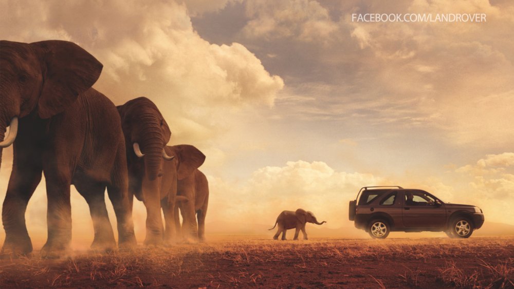 offroad-vehicle-land-rover-freelander-elephants-blog-698931.thumb.jpg.b87fe0776d2a00b537c10f2e6cb02675.jpg