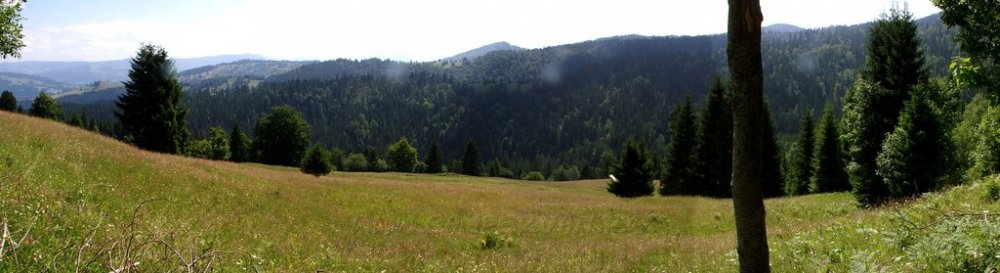 panorama513068292.thumb.jpg.e5050ea0d1c7a521f7876b1c03065c21.jpg