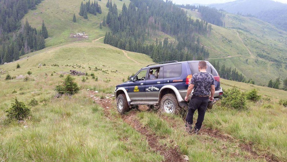 received_246372489089025.thumb.jpeg.7f1d3ac8acc5d2fa9a2171a758d5fbfd.jpeg
