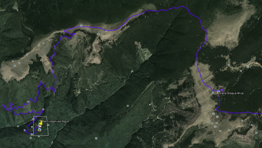 steaua_mica_sarmizegetusa_regia.thumb.png.45c225d5cfa88d36a98e7982585dc7d2.png