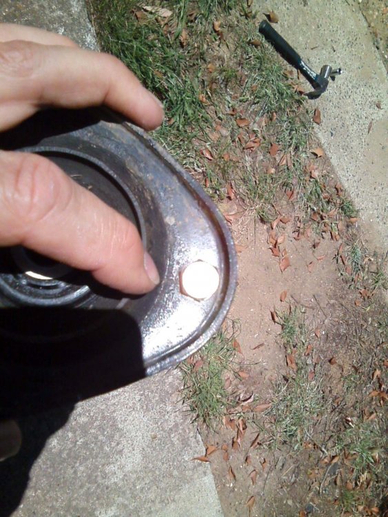 topbearing1.thumb.jpg.cf3eee716bc519e695e158f57fa346b2.jpg