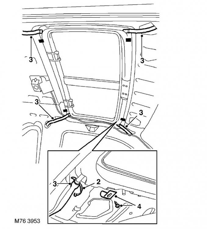 trapa.thumb.jpg.750ca88b65181bbc4ea913f0a2beeedb.jpg