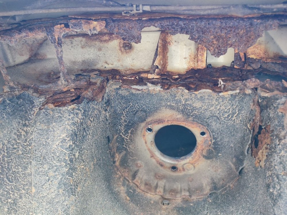 WhatsApp Image 2022-10-20 at 10.36.30.jpeg