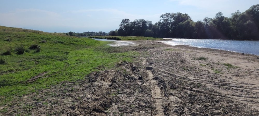 WhatsApp Image 2023-08-05 at 20.20.21 (1).jpeg