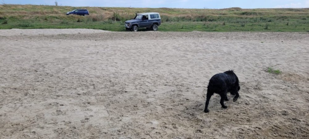 WhatsApp Image 2023-08-05 at 20.20.48 (2).jpeg