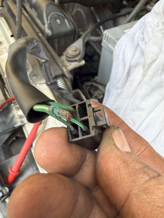 claxon_1.thumb.jpg.af809efaad25af04d17f261de8292bd7.jpg