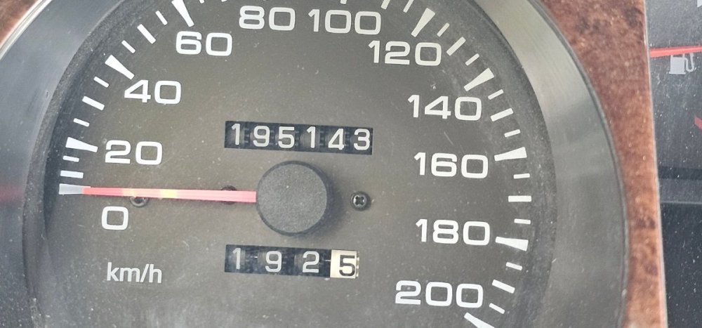 20251001_132327.jpg
